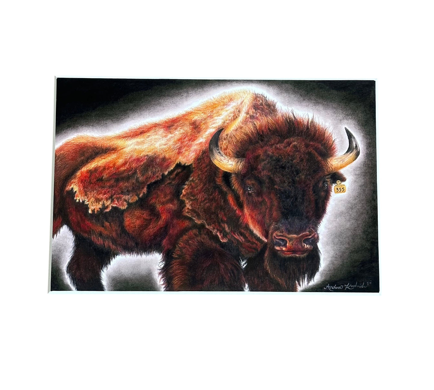 Buffalo Wall Art