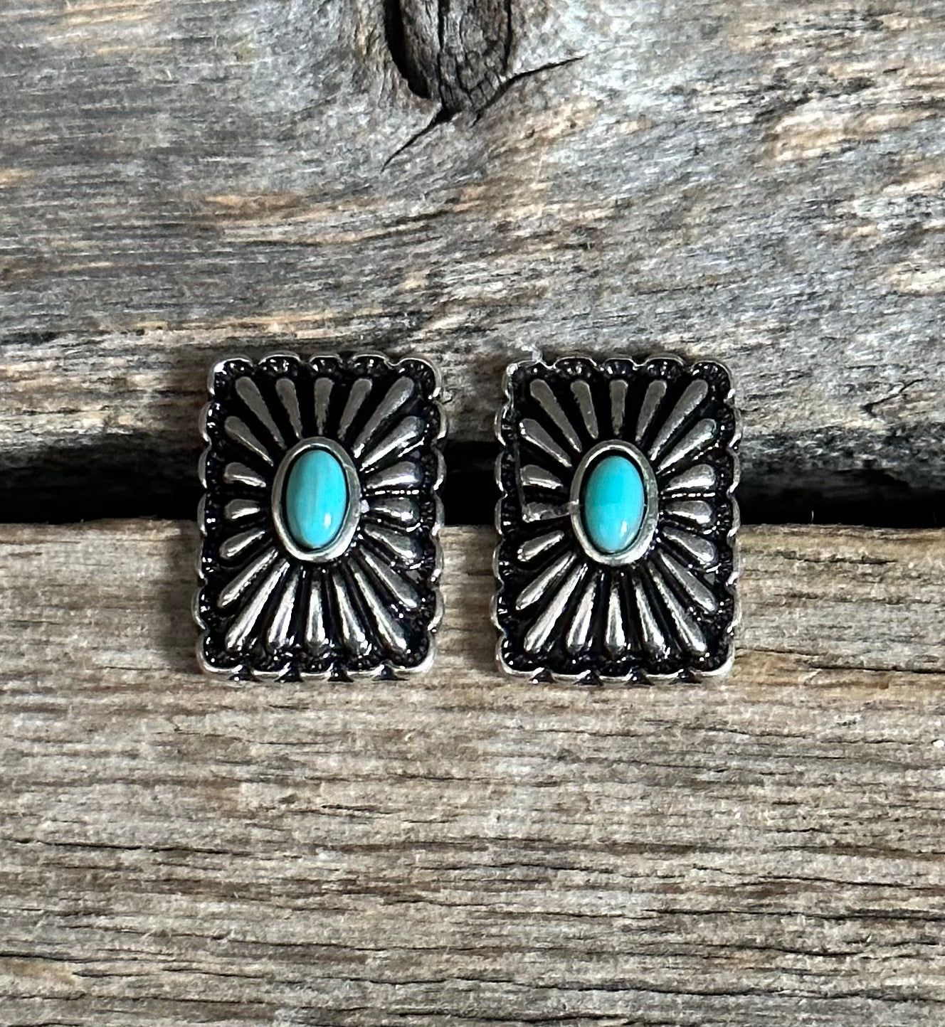 Silver Concho Rectangle Earrings