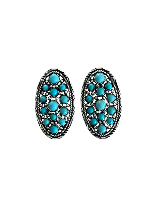 Oval Turquoise Earrings